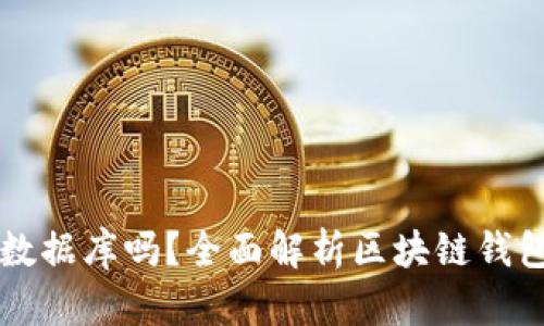 区块链钱包需要数据库吗？全面解析区块链钱包的存储解决方案