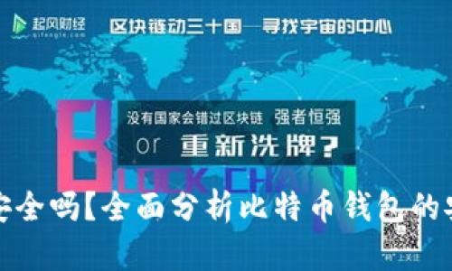 比特币钱包安全吗？全面分析比特币钱包的安全性和风险