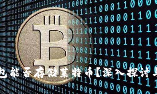 比特币钱包能否存储莱特币？深入探讨与实用指南