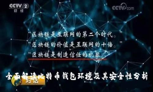 全面解读比特币钱包环境及其安全性分析