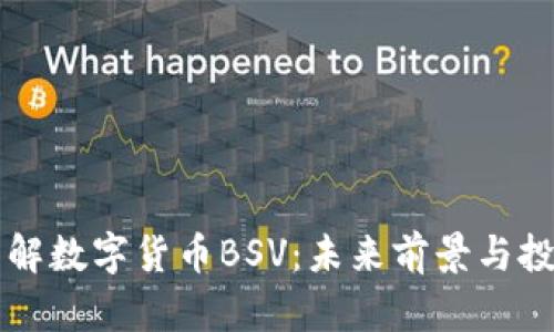 深入了解数字货币BSV：未来前景与投资指南