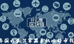 2023年国内最佳苹果手机比