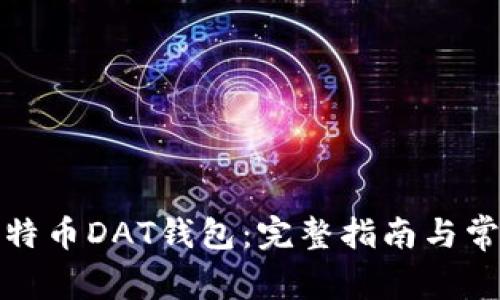 如何恢复比特币DAT钱包：完整指南与常见问题解答