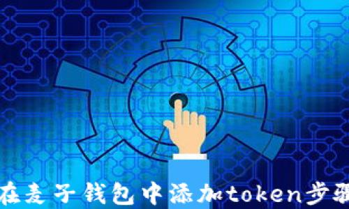 
如何在麦子钱包中添加token步骤详解