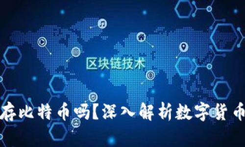 钱包地址只能存比特币吗？深入解析数字货币钱包的多样性