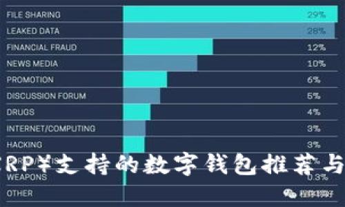 瑞波币（XRP）支持的数字钱包推荐与使用指南