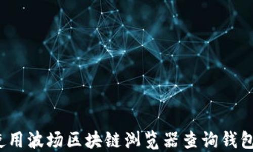
如何使用波场区块链浏览器查询钱包地址？