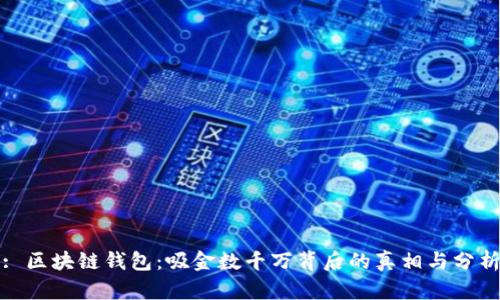 : 区块链钱包：吸金数千万背后的真相与分析