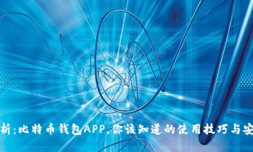 全面解析：比特币钱包APP，你该知道的使用技巧与安全建议