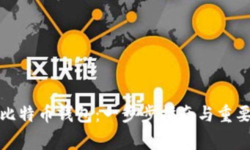 如何注册比特币钱包：一步步指南与重要注意事项