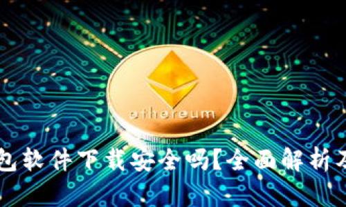 区块链钱包软件下载安全吗？全面解析及风险防范
