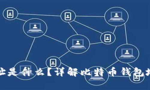 比特币钱包地址是什么？详解比特币钱包地址与ID的关系