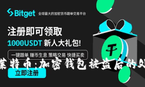 如何保护你的莱特币：加密钱包被盗后的处理与预防措施