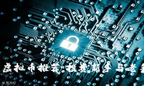 2023年最佳虚拟币推荐：投资新手与老手的选择攻略