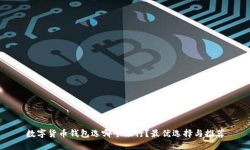 数字货币钱包选哪个银行？最优选择与推荐