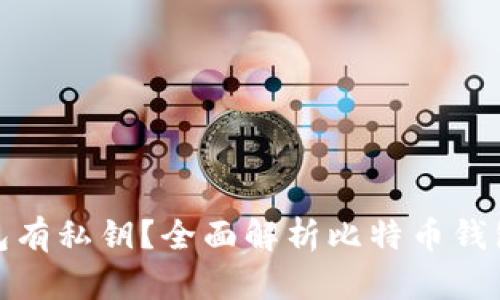 什么比特币钱包有私钥？全面解析比特币钱包选择及安全性
