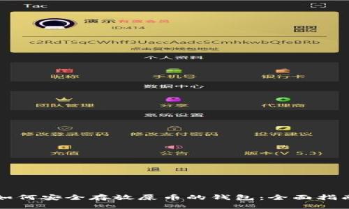 如何安全存放屎币的钱包：全面指南