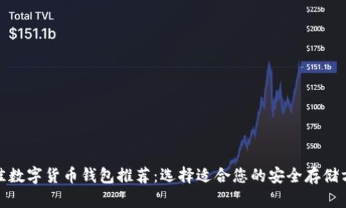 最佳数字货币钱包推荐：选择适合您的安全存储方案