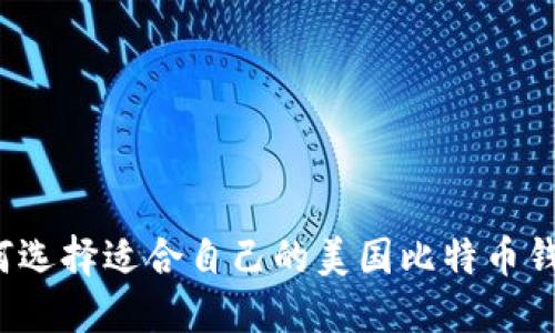 如何选择适合自己的美国比特币钱包？