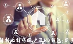 全面解析比特币账户及H
