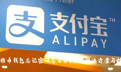 比特币钱包忘记密码怎么办？完整解决方案与技巧