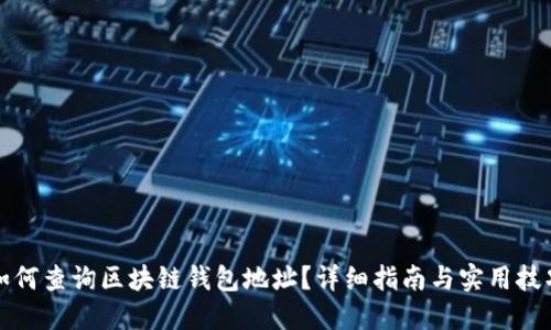如何查询区块链钱包地址？详细指南与实用技巧
