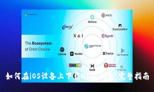 如何在iOS设备上下载USDT钱包：完整指南