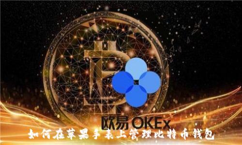   
如何在苹果手表上管理比特币钱包