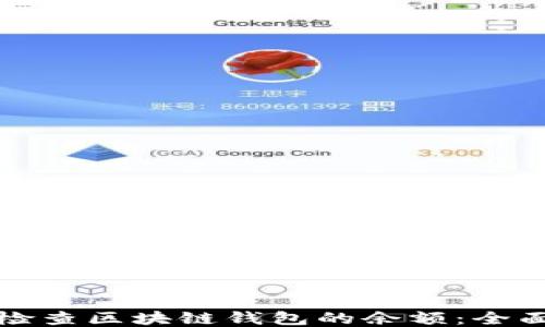 
如何检查区块链钱包的余额：全面指南