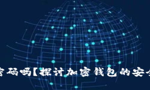 加密钱包需要密码吗？探讨加密钱包的安全性与使用攻略