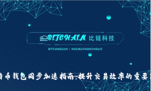 比特币钱包同步加速指南：提升交易效率的重要策略