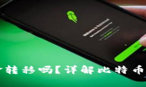 比特币钱包能实现现金转移吗？详解比特币及其钱包的操作与应用