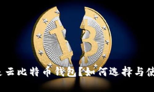 什么是云比特币钱包？如何选择与使用它？