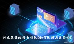 什么是云比特币钱包？如