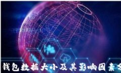  LTC钱包数据大小及其影响