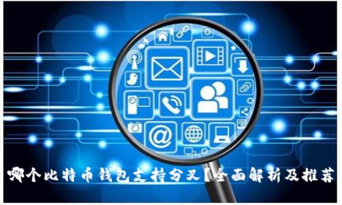 哪个比特币钱包支持分叉？全面解析及推荐