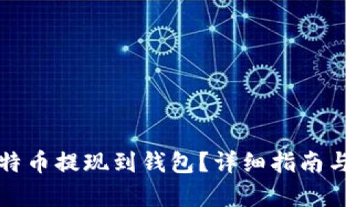 如何将比特币提现到钱包？详细指南与步骤解析