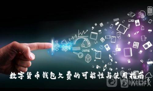 数字货币钱包欠费的可能性与使用指南