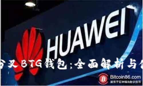 比特币分叉BTG钱包：全面解析与使用指南