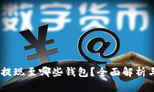 火币USDT提现至哪些钱包？全面解析与钱包推荐