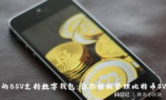 推荐的BSV支持数字钱包：